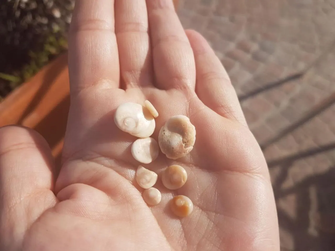 Villetta Dessanai بورتو أوتيولو إيطاليا